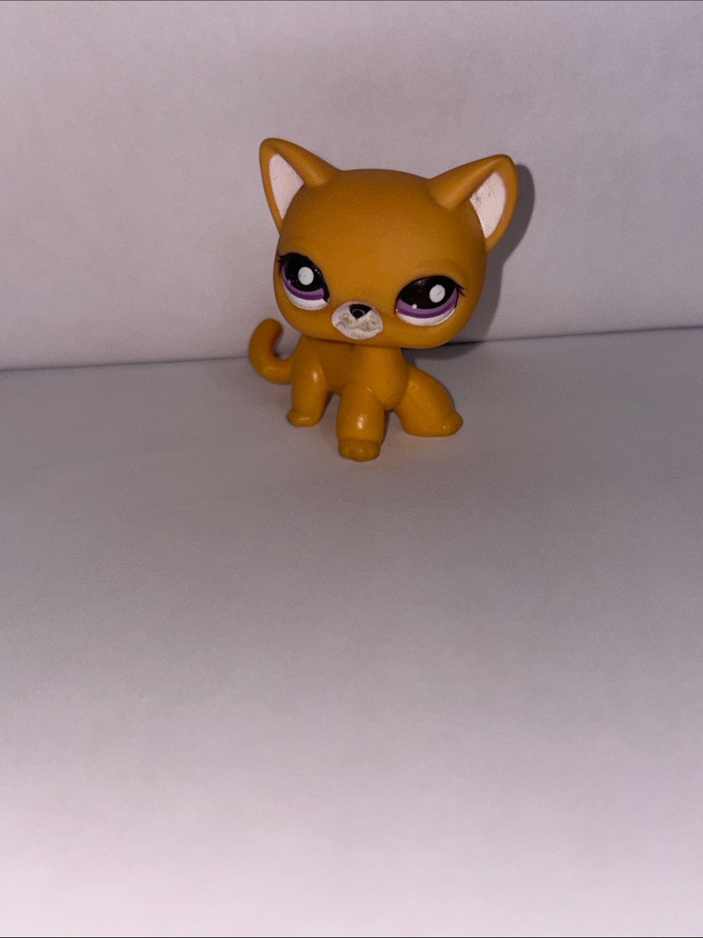Littlest Pet Shop Blind Bag Orange Shorthair Cat #2433